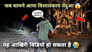 The Mystery Of 5 Cards        dont Go Alone The Deadly Maya Jaal
