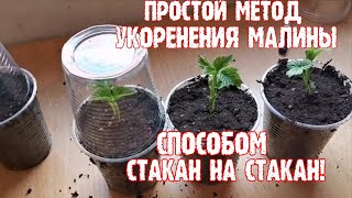 картинка: 
