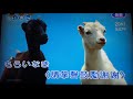 女の波止場/妳到底愛我不愛