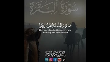 أَمْ حَسِبْتُمْ أَن تَدْخُلُوا الْجَنَّةَ❤️| ما تيسر من سورة البقرة 2024 ❤️