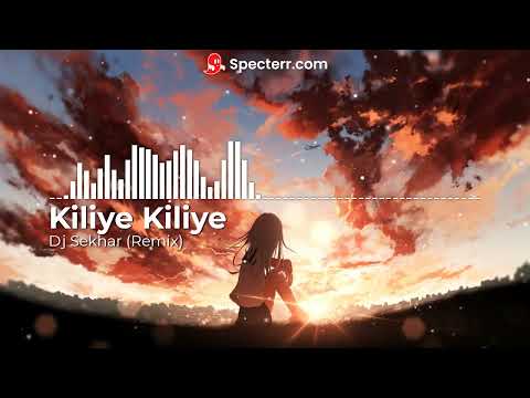 Dj sekhar - Kiliye Kilye (Remix)