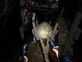 horror gold mine #viral #trending #youtubeshorts #shortsfeed #youtubefeed