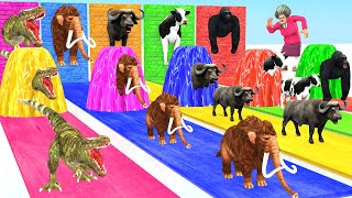 Choose the Right wall with  Sound Animal Crossing Cow Tiger Elephant Mammoth Buffalo Gorilla Animals