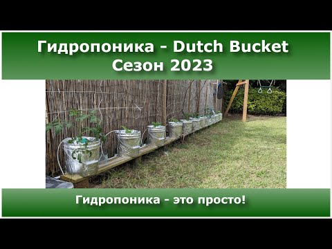 Новый сезон овощей на гидропонике.