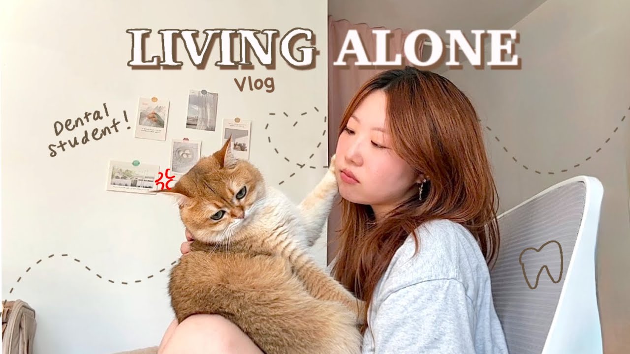 видеоблог о жизни в одиночестве 🐈 | студент-стоматолог, поездки в больницу, простая кулинария и т...