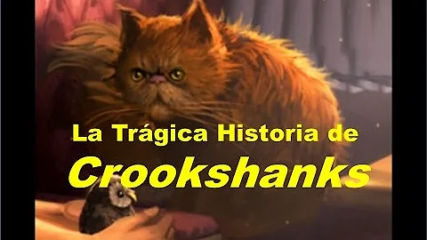 ¿Crookshanks es un animago?