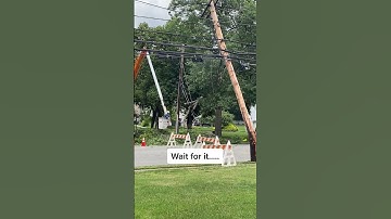 Near Miss: Tree Removal Causes Utility Pole to Crack#treeremoval #utilitypole #nearmiss