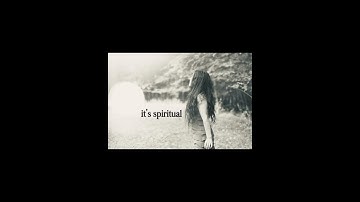 how a sticker to stop birds from flying into windows became a video about birds…flying into windows…