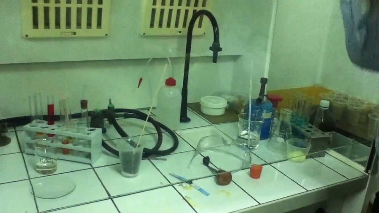 סרטוני המדע של בוריס - שריפת סוכר באמצעות חומצה גופרתית