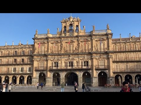 Vídeo: Visita l'Ajuntament de Salamanca