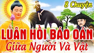 8 Chuyện Nhân Quả Báo Ứng, Về LUÂN HỒI ĐẦU THAI BÁO OÁN GIỮA NGƯỜI VÀ VẬT Nghe Mà Sợ Nghiệp Sát Sinh