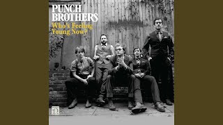 Video thumbnail of "Punch Brothers - No Concern of Yours"