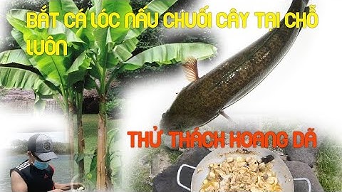 Cooking with banana tree and snakehead fish - Vietnamese Food  ￼