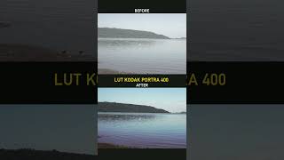 Kodak Portra 400 LUT #shorts #videography #kodak #premierepro #outdoors