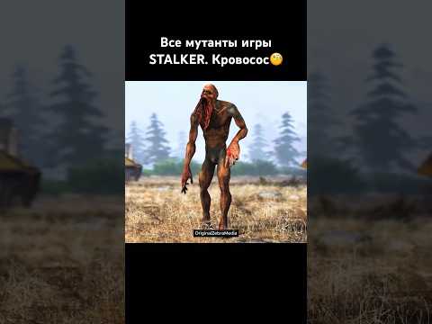 Видео: Все монстры из игры Сталкер. Кровосос #shadowofchernobyl #сталкер #кровосос #теньчернобыля
