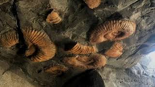 Learn To Paint Rockwork