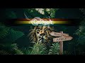 Caloosh  rolling jungle  jungle roller dubwise raggajungle dnb dj mix 2020 