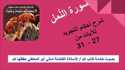 سورة النمل : شرح أحكام التجويد للآيات من 27 إلى 31