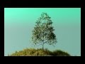 Growing tree 3d animation. GrowFX. Анимация растущего дерева