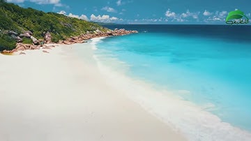 تلاوة هادئة ترق لها القلوب