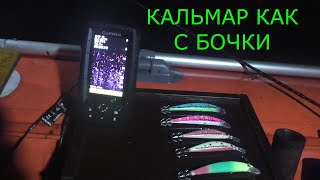 КАЛЬМАР НА ВОБЛЕР!!! КЛЮЁТ НА КАЖДЫМ ЗАБРОСЕ!!!30/31/07/22г.