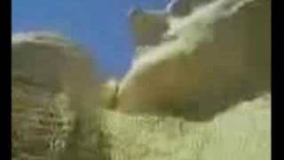 Arrested at MT Rushmore