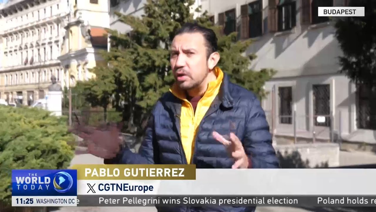 A health crisis crippling Hungary