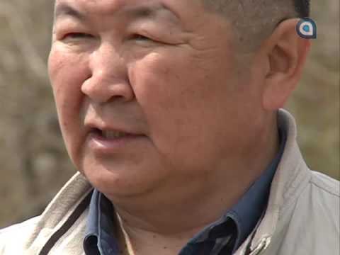 Специальный репортаж (1.06.2016)