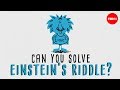 Can you solve einsteins riddle  dan van der vieren