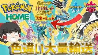 【ポケモンＳＶ】最小個体色違い伝説！？ポケモンホームが解禁されたので大量の色違い送ったらやべぇ個体いたんだが【ゆっくり実況】