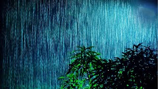 Sleep Soundly Immediately with Torrential Rainstorm & Very Powerful Thunder Sounds on Stormy Night