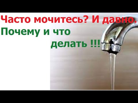 Частые позывы и мочеиспускания: гиперактивный мочевой пузырь – все способы достижения контроля