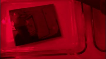 Reversal Processing - First development, Part 1