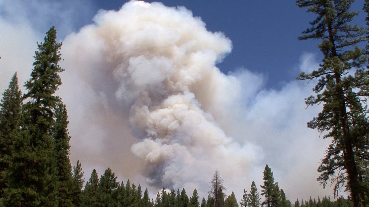 The Rim Fire YouTube