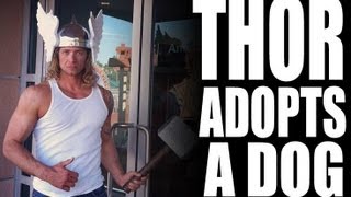 THOR ADOPTS A DOG @CountyofSDDAS