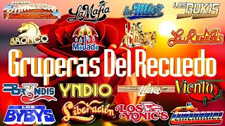 LOS TEMERARIOS, GRUPO BRYNDIS, LOS ACOSTA, LOS BUKIS, LIBERACION CUMBIAS - ROMANTICAS DEL RECUERDOS