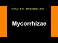 How to pronounce Mycorrhizae
