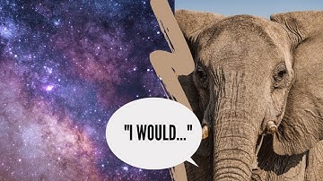 Existential Inertia (with Elephant Philosophy)