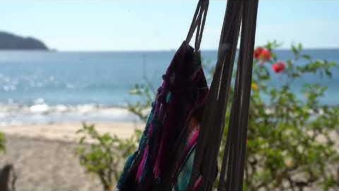 Hammock in the beach