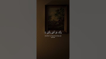 الشيخ ياسر الدوسري من سورة النجم وأن ليس للإنسان إلا ما سعى