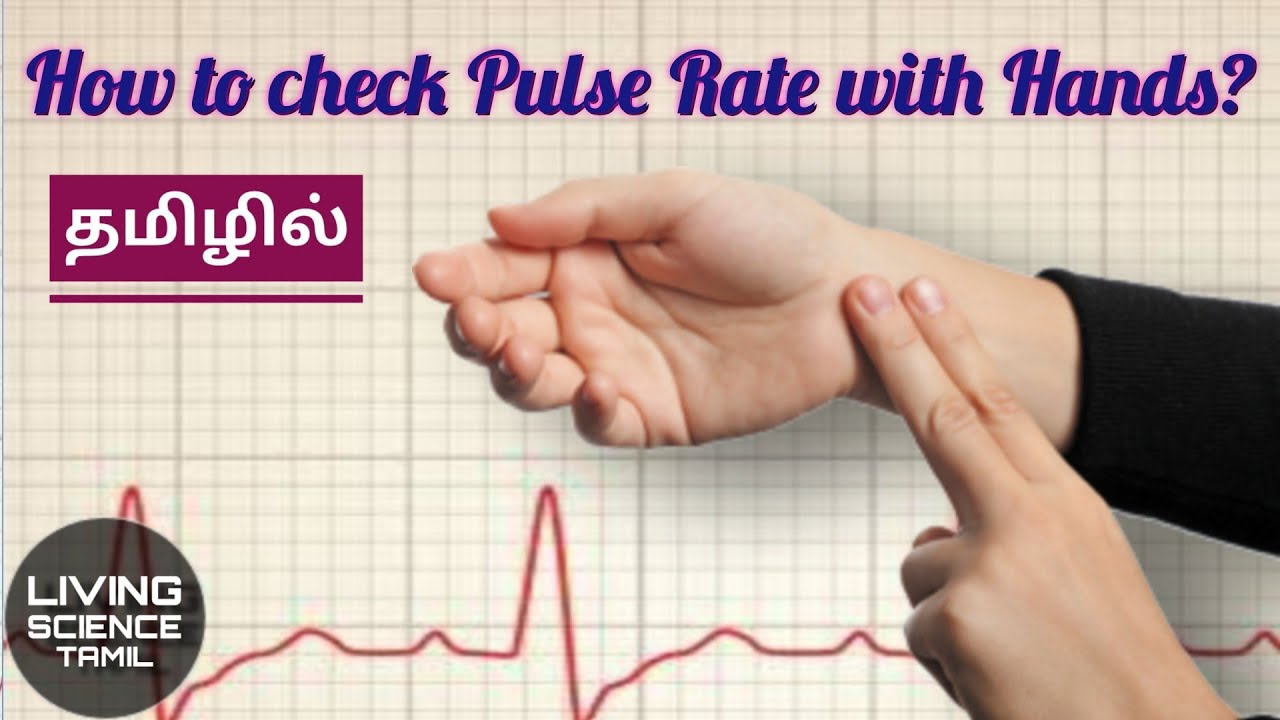 Simple method to check Heart Rate in tamil | Living Science Tamil - YouTube