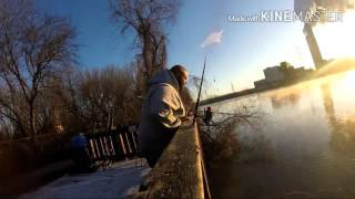 Fishing Monroe Michigan for Catfish... Slayers on the river