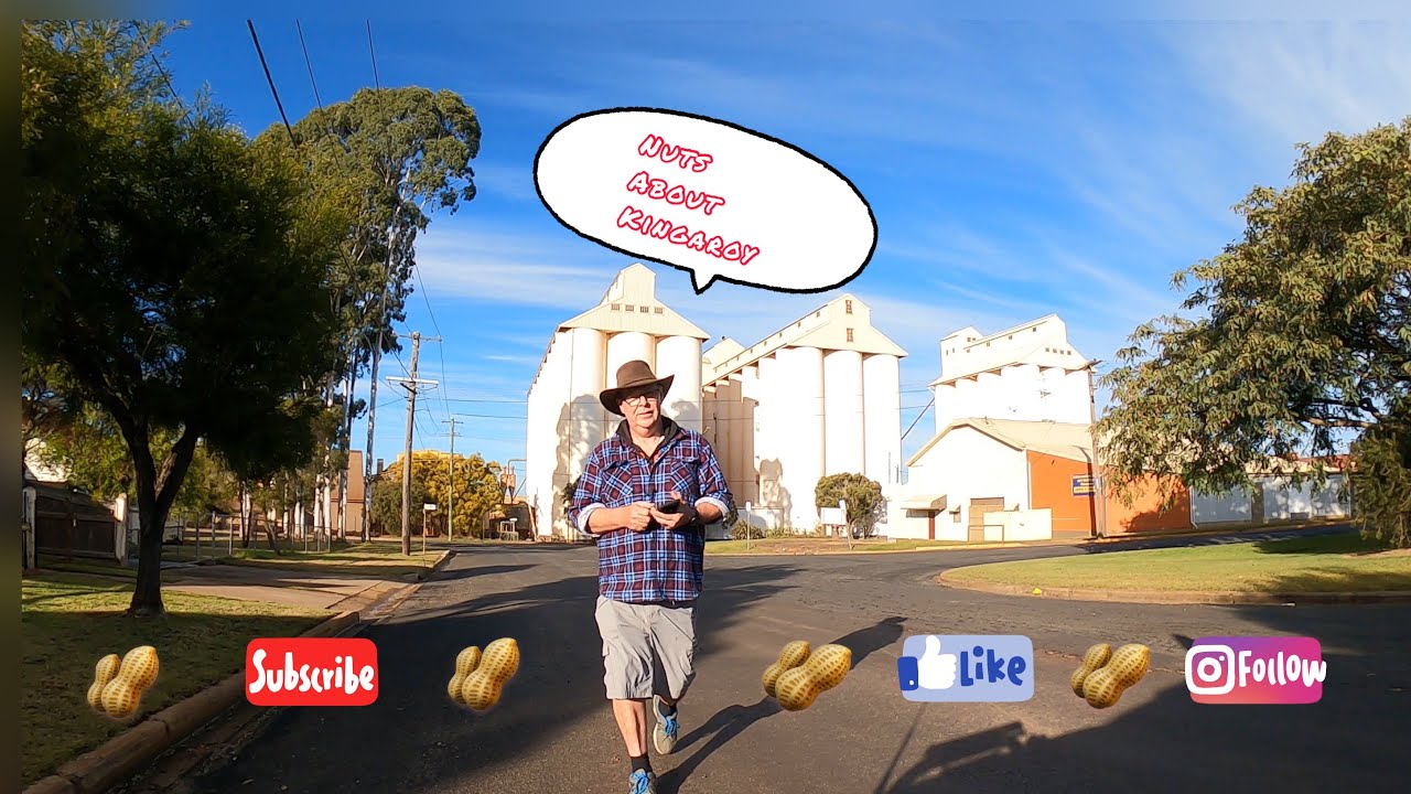 Kingaroy peanut 🥜 Capital of QLD YouTube
