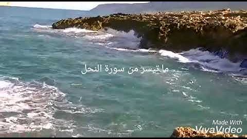 ما تيسر من سورة النحل فضيلة الشيخ فواز مرعبي بك