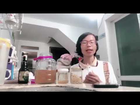 Vì sao phải bổ sung lợi khuẩn. Cách nuôi lợi khuẩn Kombucha dễ dàng.