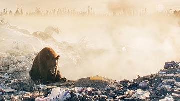 "This is the Most Heartbreaking Image I