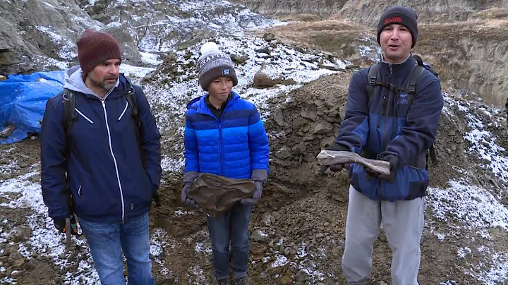 12-year-old makes 'significant' dinosaur discovery...