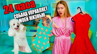 24 Часа СОБАКА УПРАВЛЯЕТ Моим Днем! Какой Будет Мой День? Макияж, Одежда и Еда - Энни Мэй