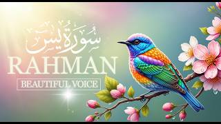 Surah Ar-Rahman (سورة الرحمن) | Most Soothing Quran Recitation for Peace screenshot 1