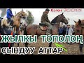 😱 Эң чоң ат 🐎 КЕЛИШКЕН ЖЫЛКЫЛАР👍ТОПОЛОҢ / Өзгөн 30.09.19